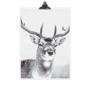 Poster *DEER* Tafelgut