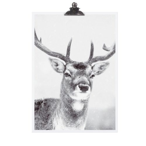 Poster *DEER* Tafelgut