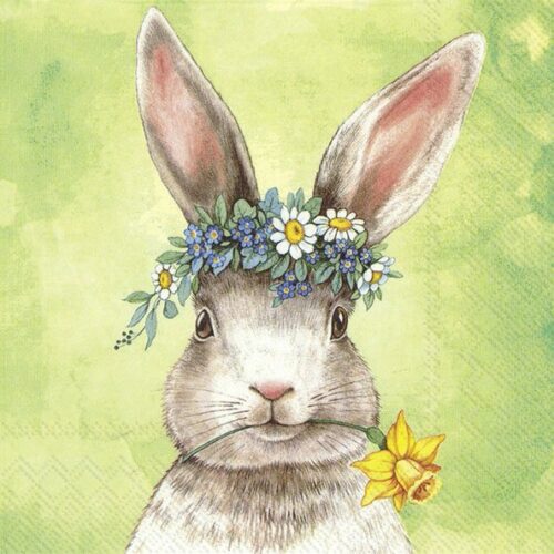 Servietten *EASTERFRIENDS BUNNY* IHR