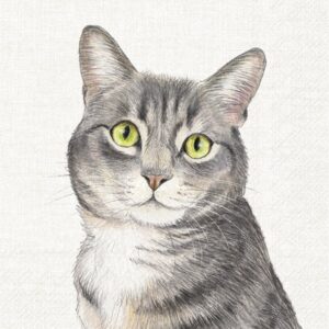 Servietten *FARM CAT CREAM* IHR