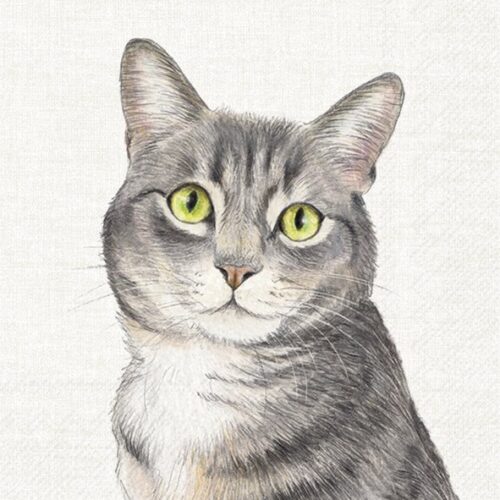 Servietten *FARM CAT CREAM* IHR